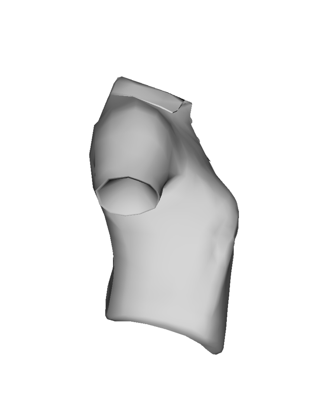 OBJ Camisa Feminina #2 - Imagem 2