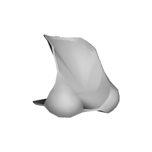 OBJ Camisa Feminina #22