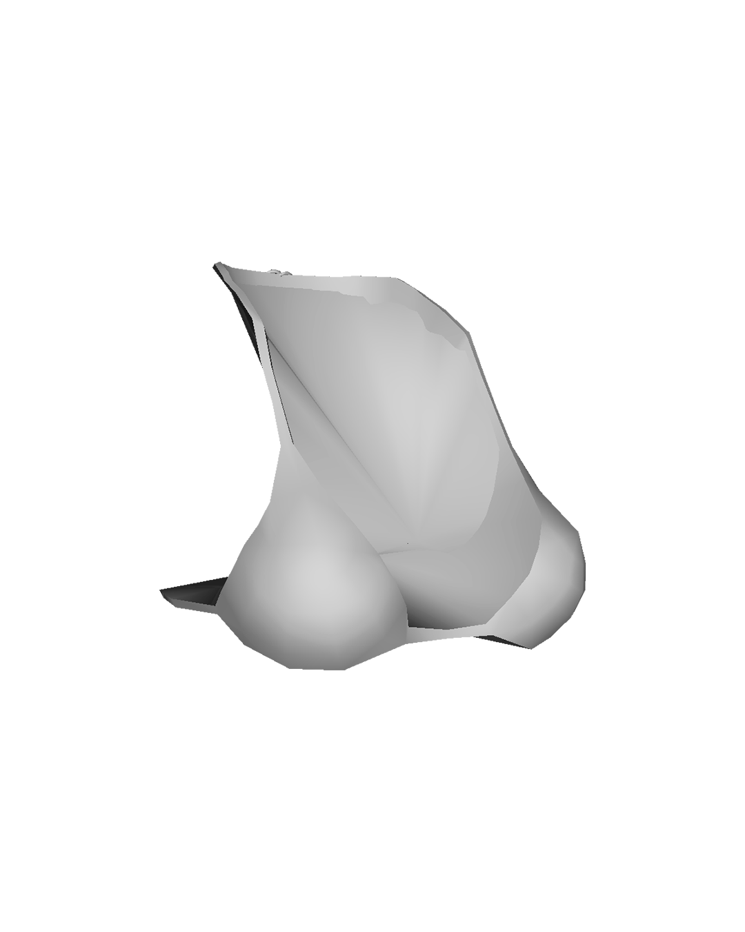 OBJ Camisa Feminina #22